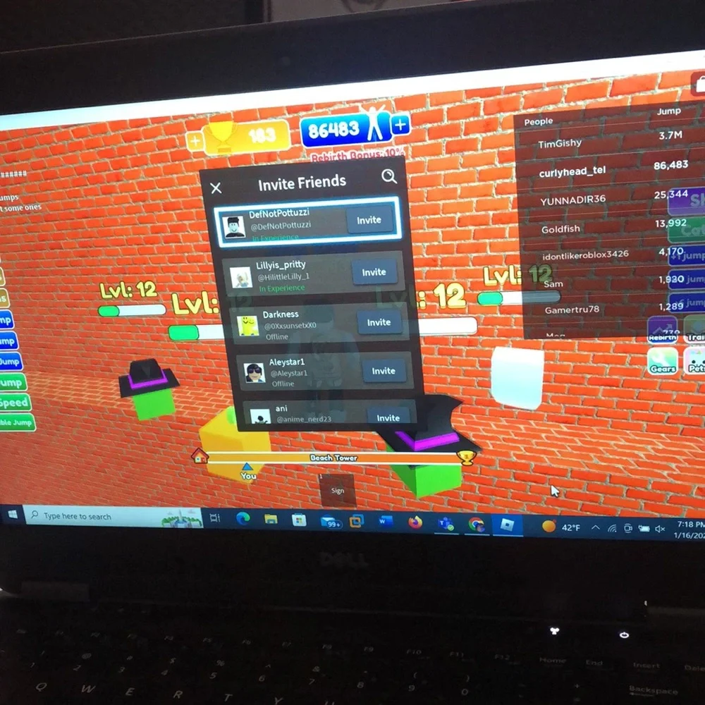 Dell laptop 237 GB